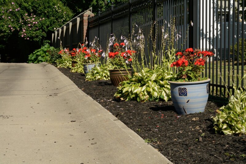 Potted Plants Along Sidewalk