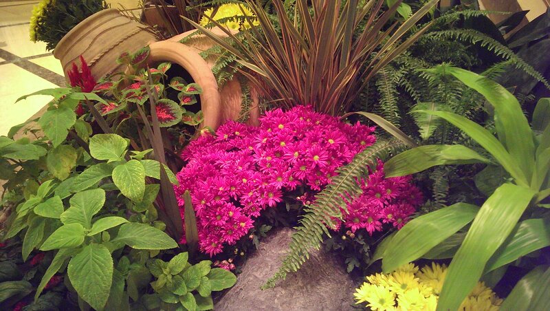 Potted Plants and Flowers