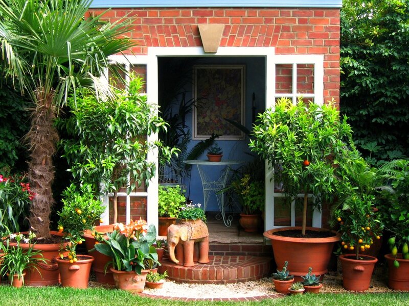Potted Plants by Brick Shed