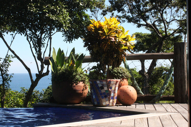 Potted Plants by Pool