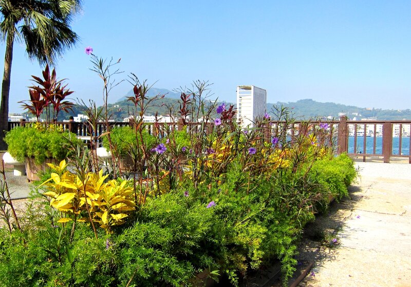 Potted Plants by Water