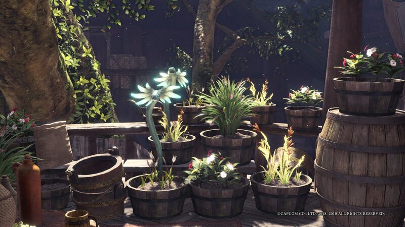 Potted Plants in Barrels