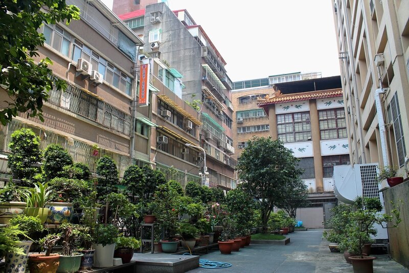 Potted Plants in Courtyard — Green, Calm