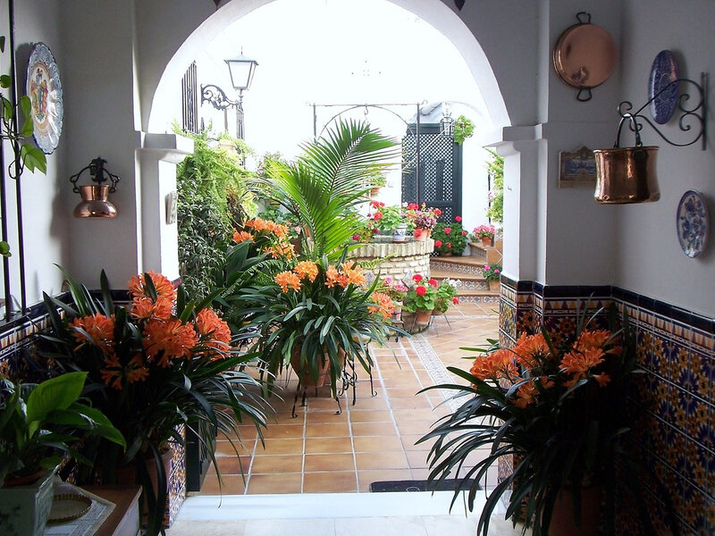 Potted Plants in Courtyard