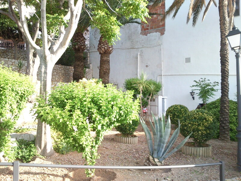 Potted Plants in Garden — Green, Calm