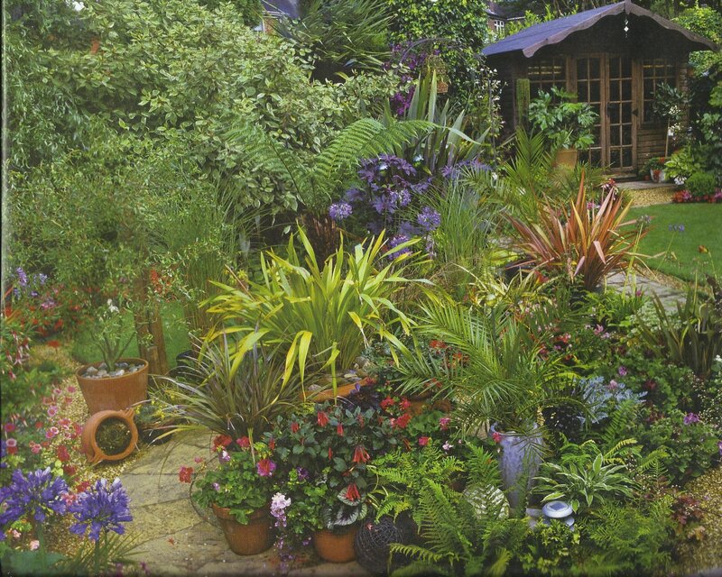 Potted Plants in Garden — Green, Lush