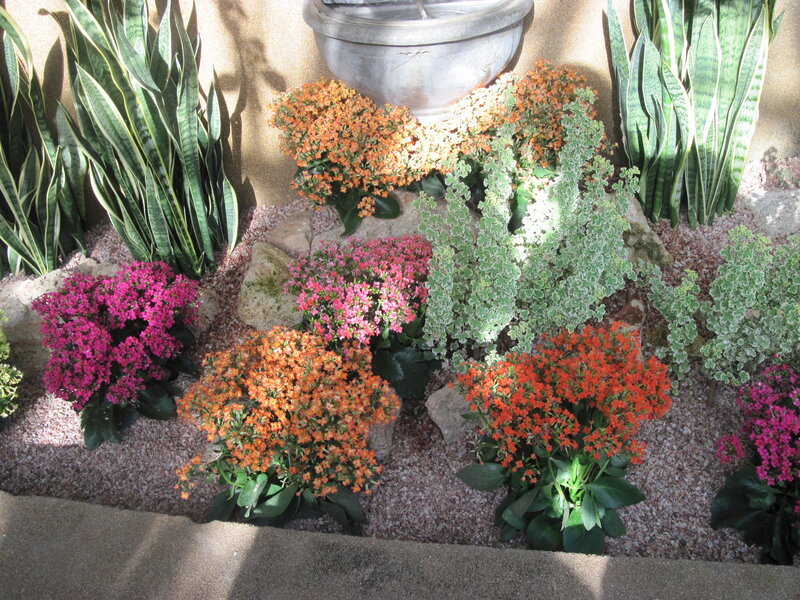 Potted Plants in Garden — Green
