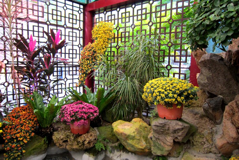 Potted Plants in Garden — Yellow