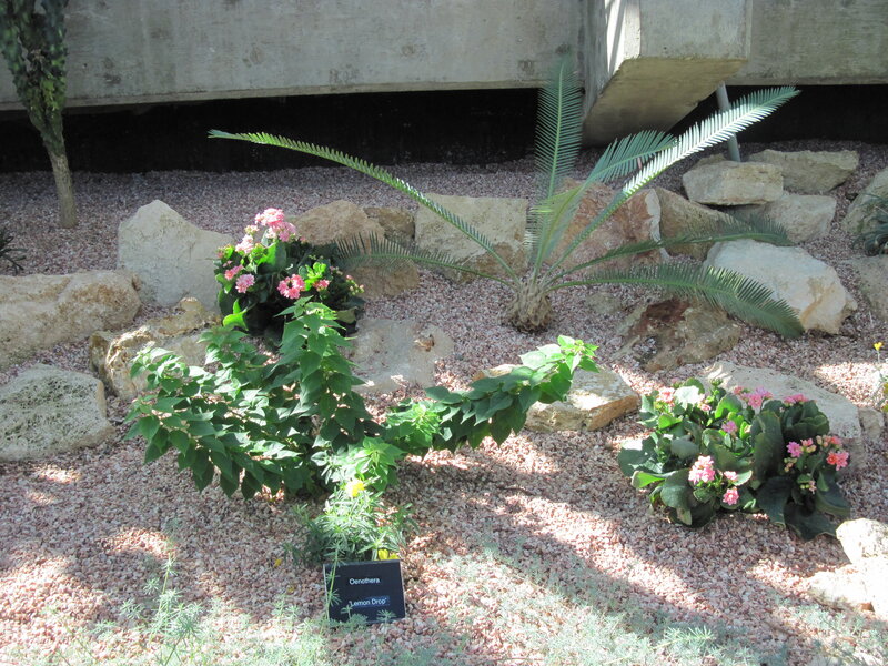 Potted Plants in Gravel — Green