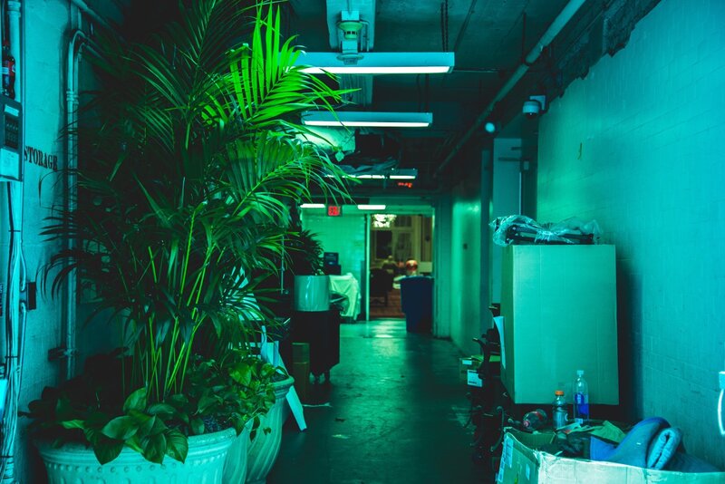 Potted Plants in Hallway