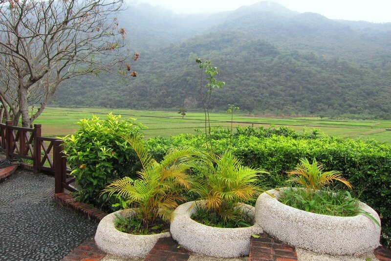 Potted Plants in Landscape