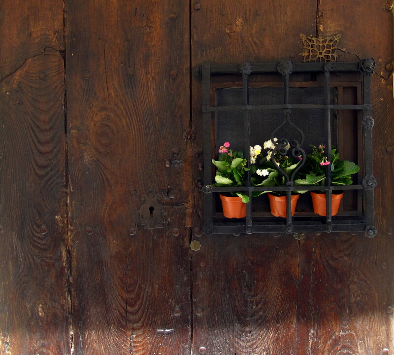Potted Plants in Window