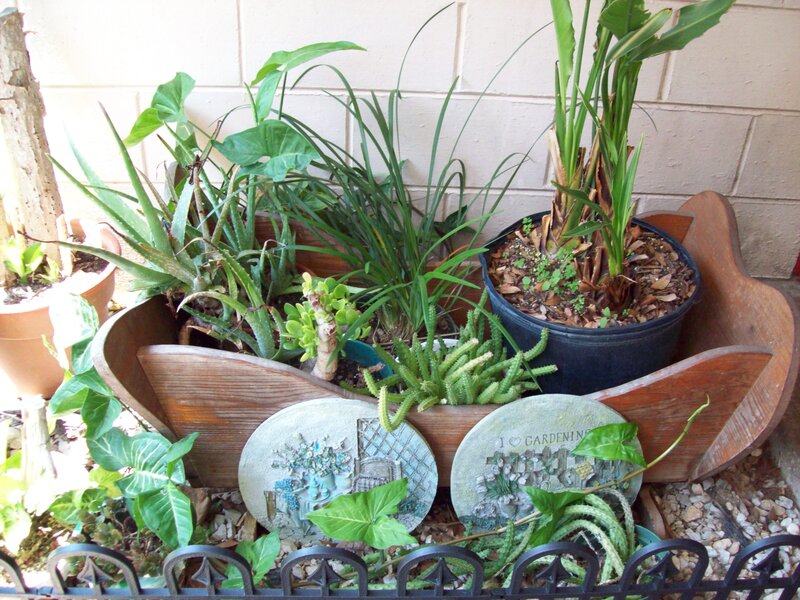 Potted Plants in Wooden Planter