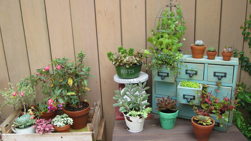 Potted Plants on a Deck — Green