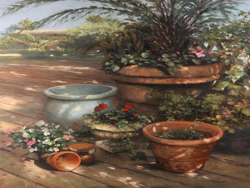 potted plants on a deck