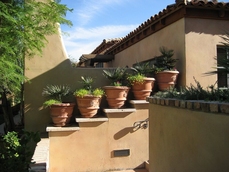 potted plants on a patio
