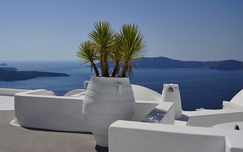 Potted Plants on Balcony — White