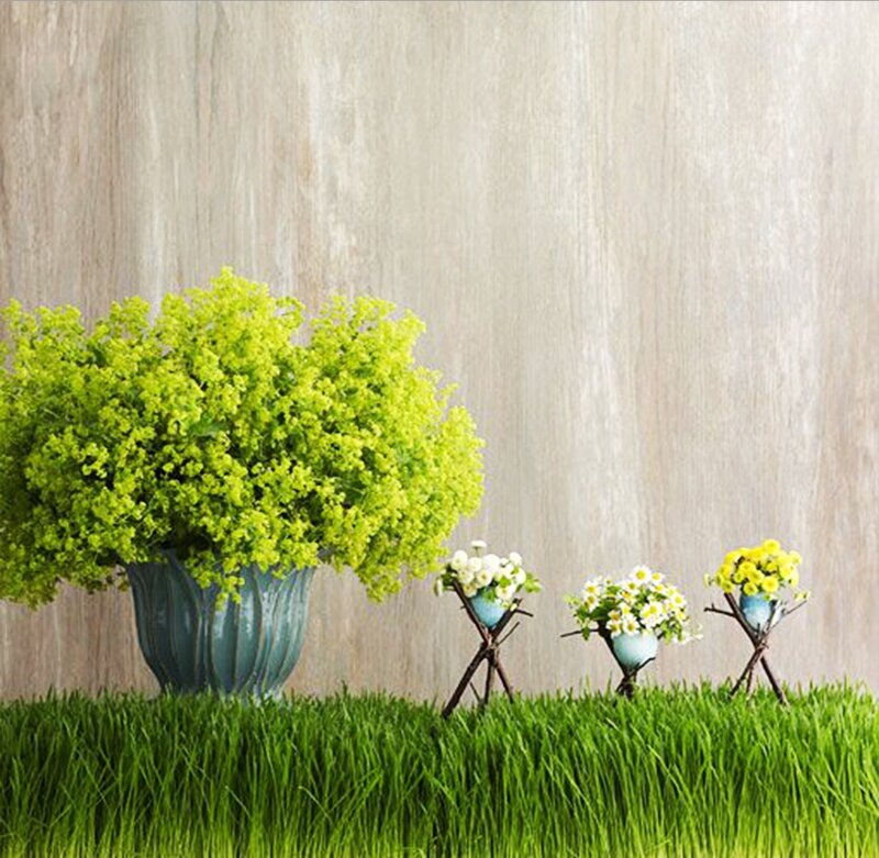 Potted Plants on Grass