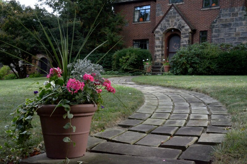 Potted Plants on Path