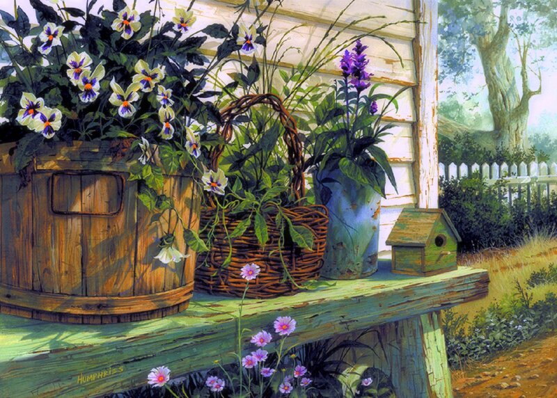 Potted Plants on Porch