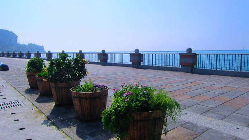 Potted Plants on Promenade