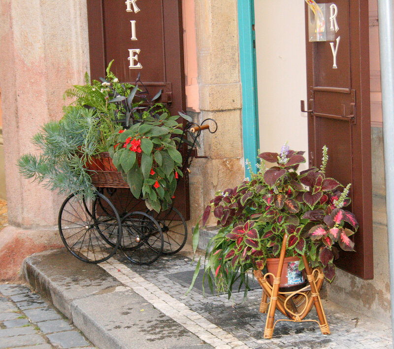 Potted Plants on Sidewalk