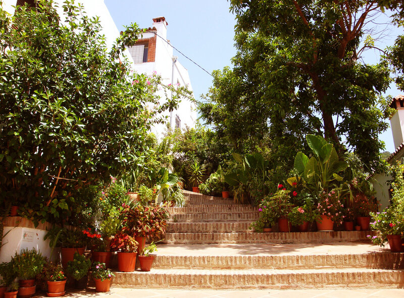 Potted Plants on Stairs