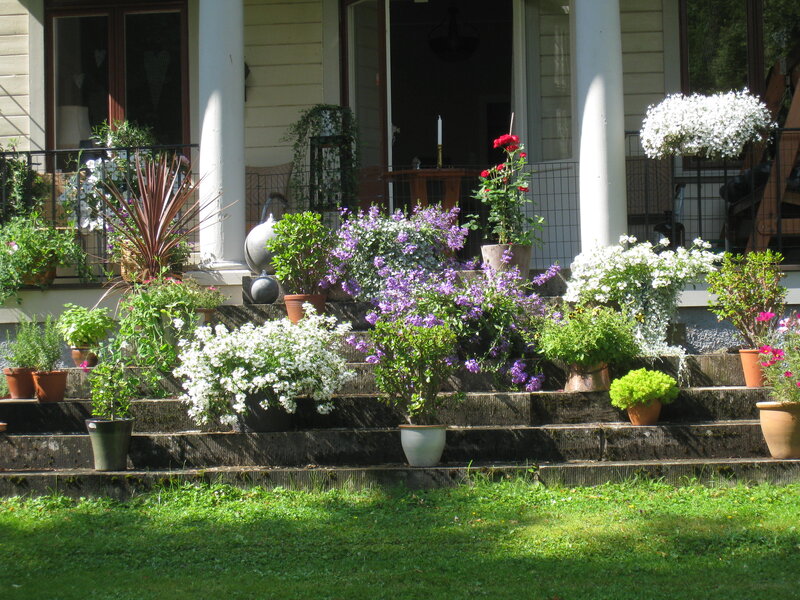 Potted Plants on Steps — Green