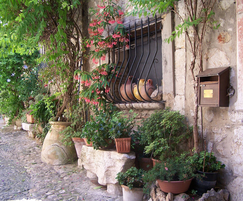 Potted Plants on Stone Wall — Green