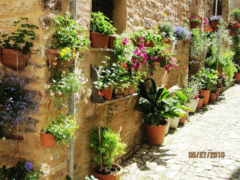 Potted Plants on Stone Wall