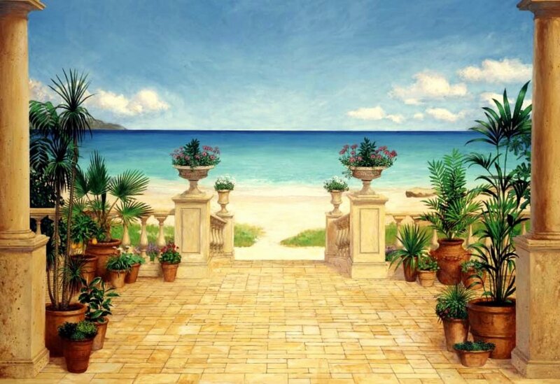 Potted Plants on Terrace