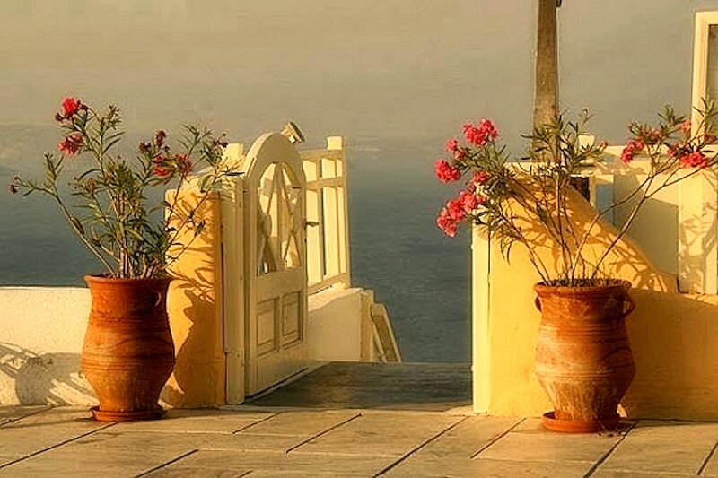 Potted Plants on Terrace — Yellow