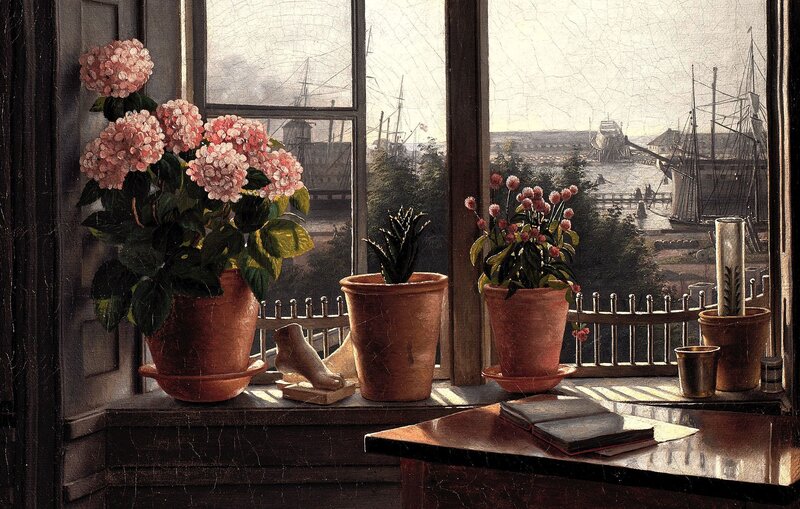 Potted Plants on Windowsill — Brown