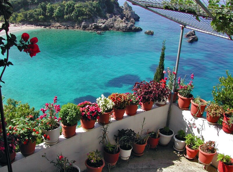 Potted plants overlooking the sea