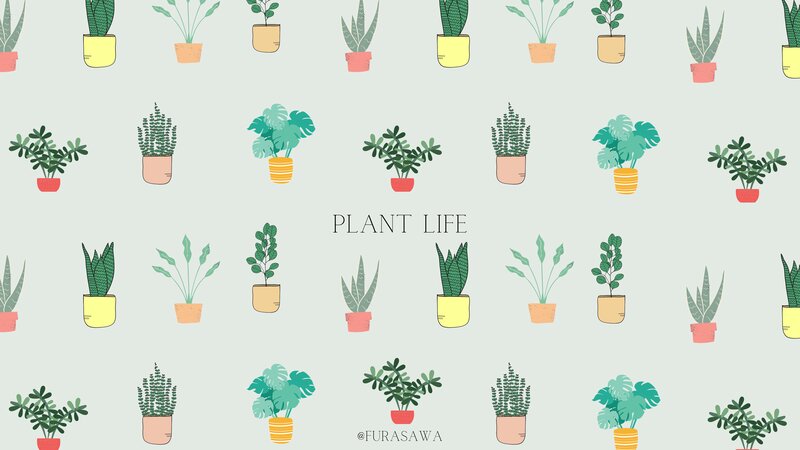 Potted Plants Pattern