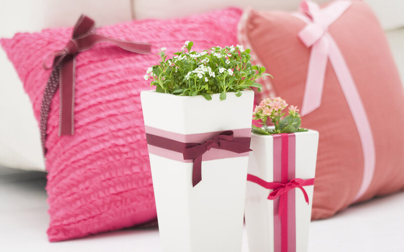 Potted Plants with Ribbons