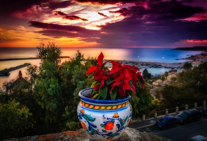 Potted Poinsettia Flower