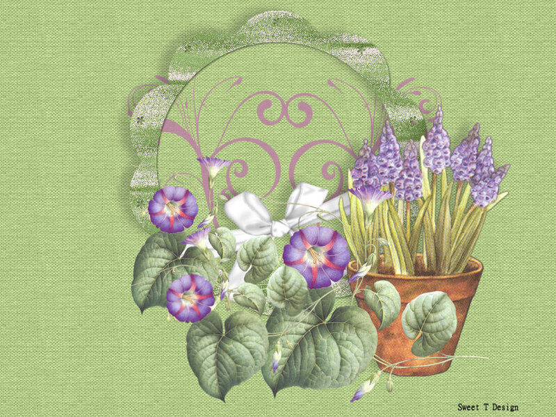 Potted Purple Flowers
