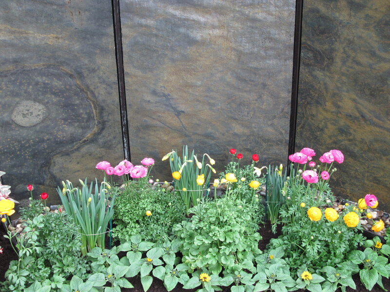 Potted Spring Flowers — Green
