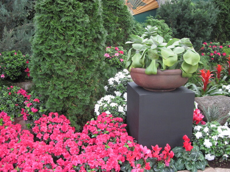 Potted Succulent in Garden