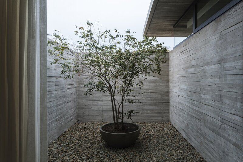 Potted Tree in Courtyard