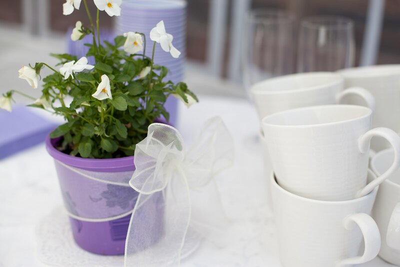 Potted White Flowers