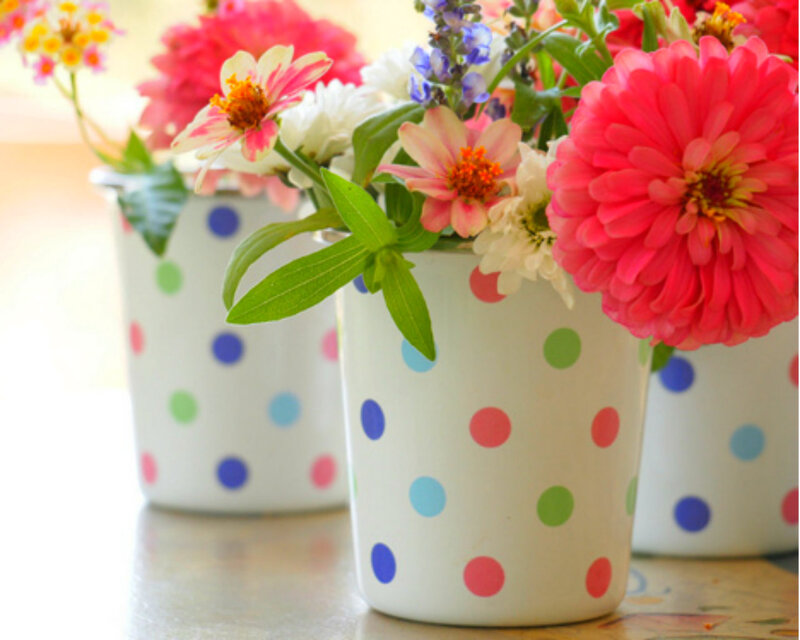 Potted Zinnia Flowers