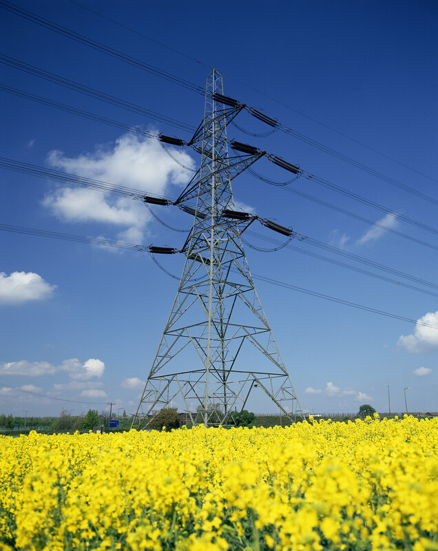 Power line tower in a yellow field