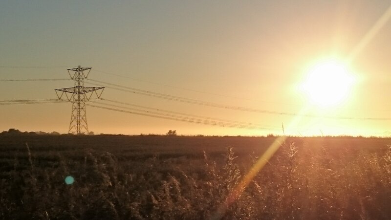 Power Line Tower in Field