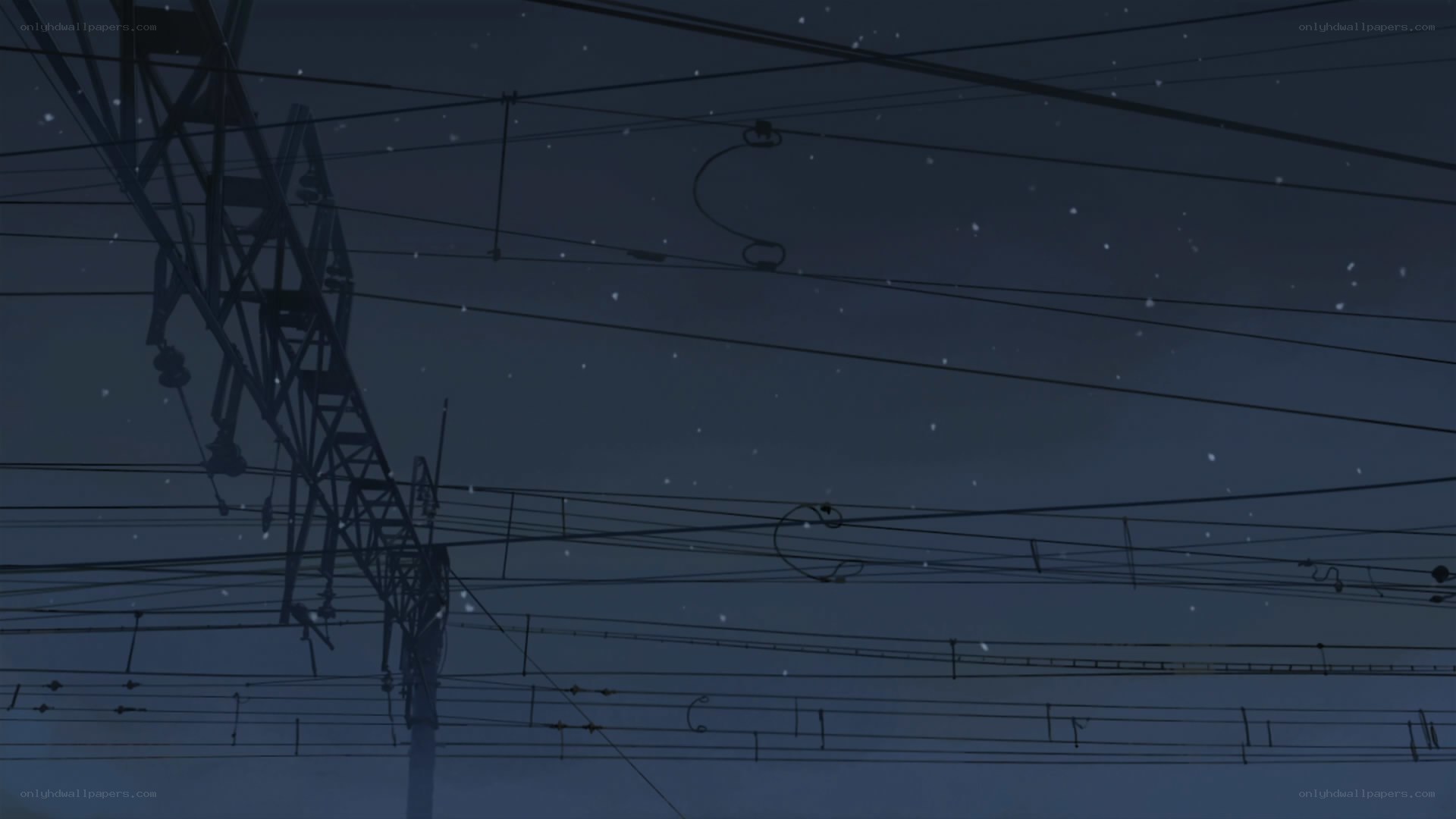 Power lines at night with snow