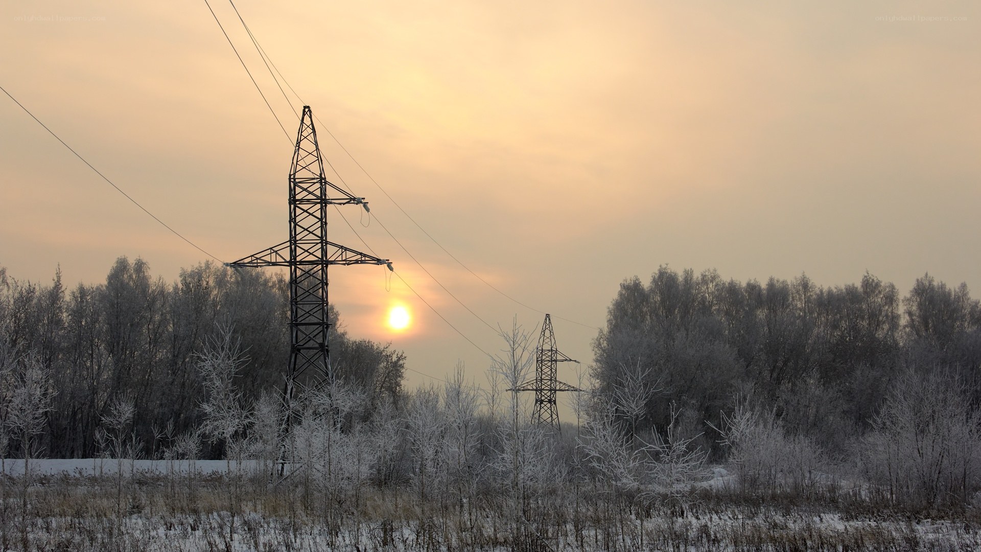 Power lines at sunset in winter