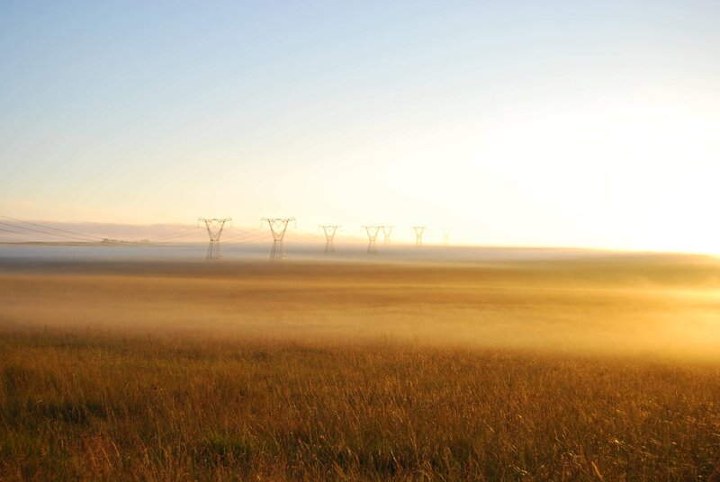 Power lines in a misty field