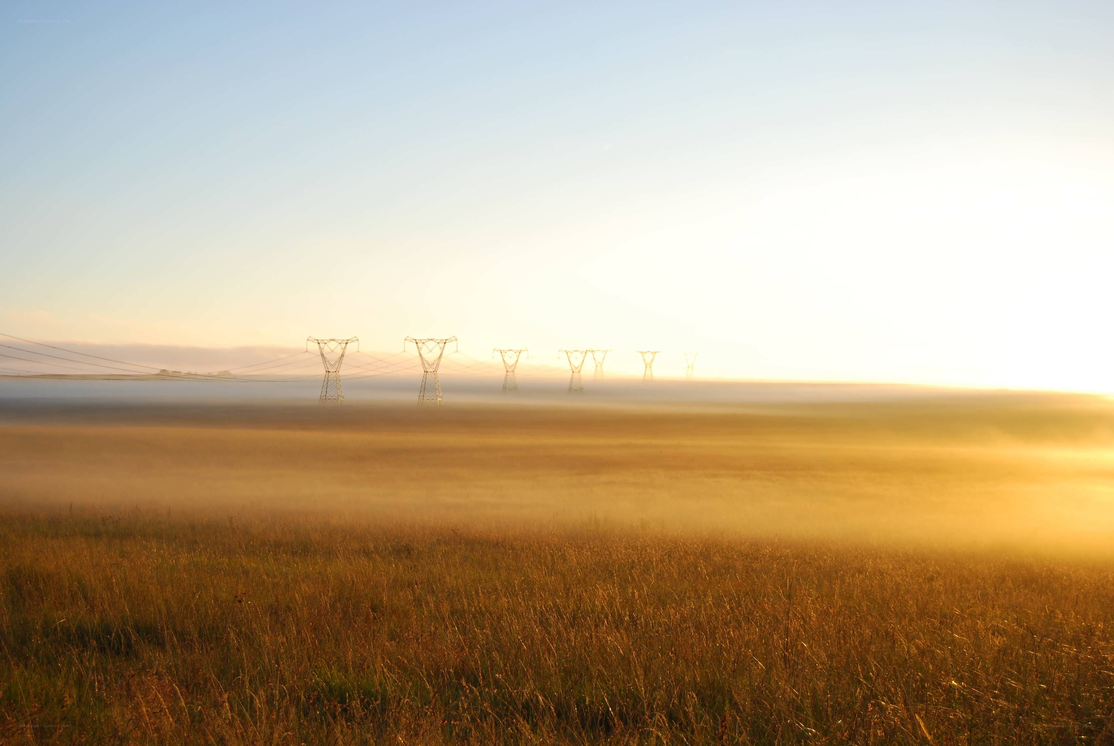 Power lines in a misty field