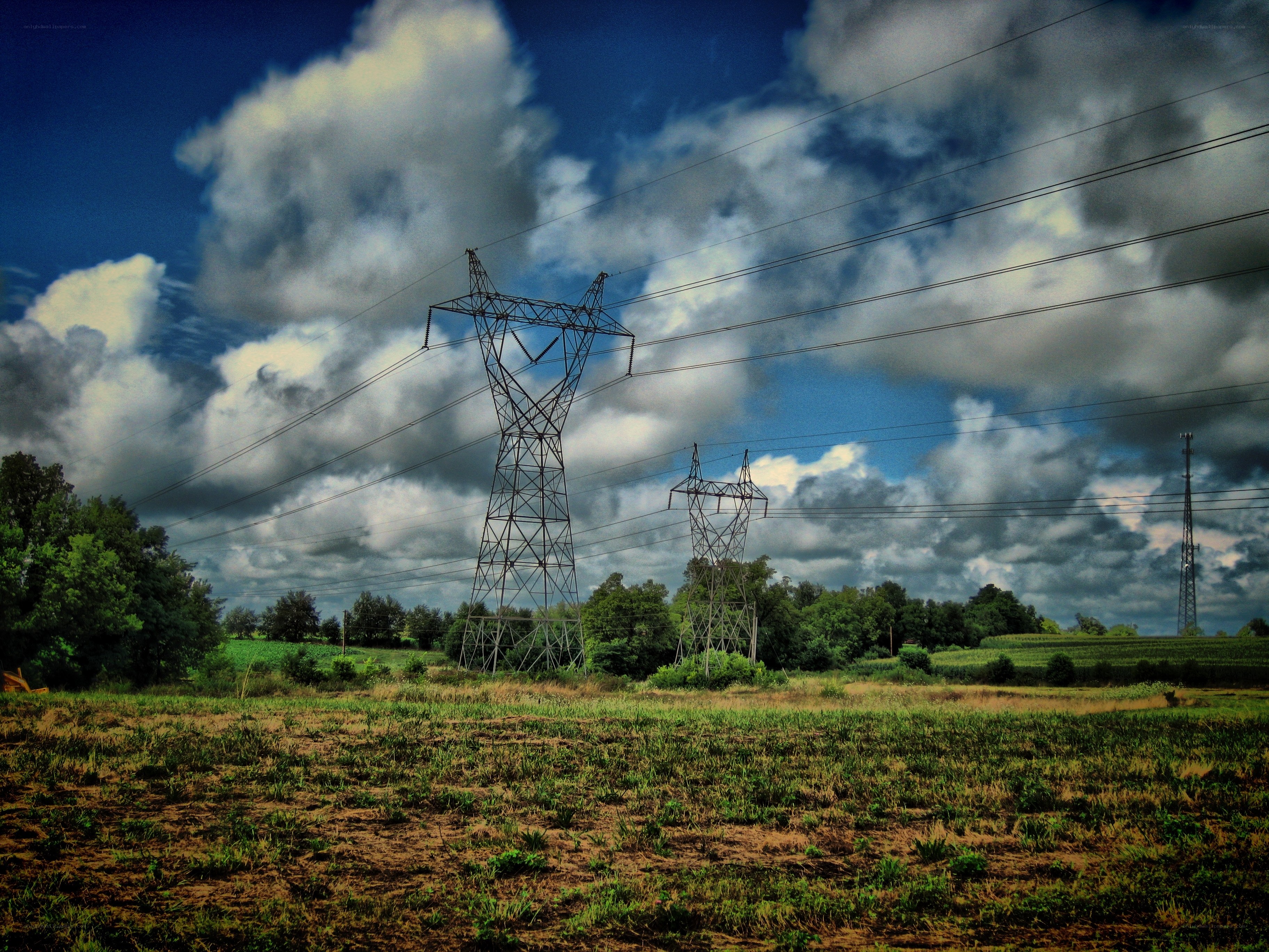 Power lines in a rural landscape